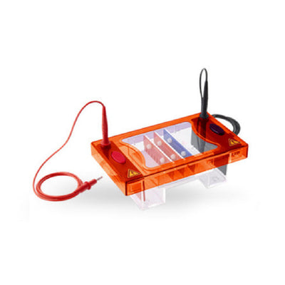 Uni-Midi Horizontal Eletrophoresis System -10x10cm