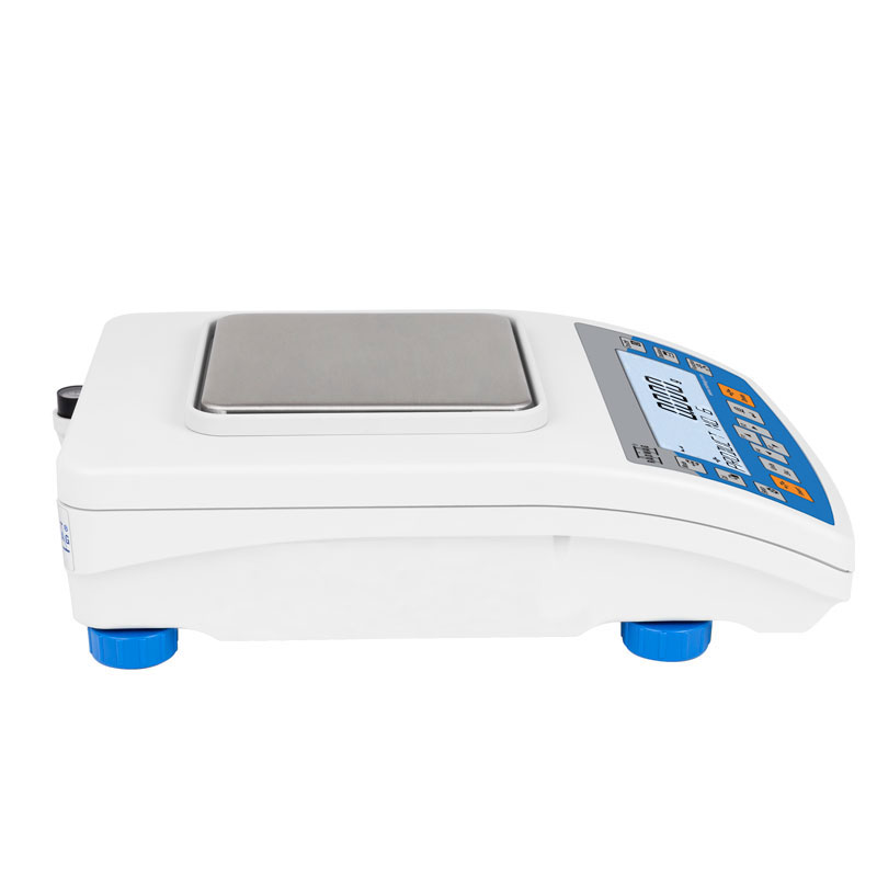 Radwag PS 1000.R2 Precision Balance
