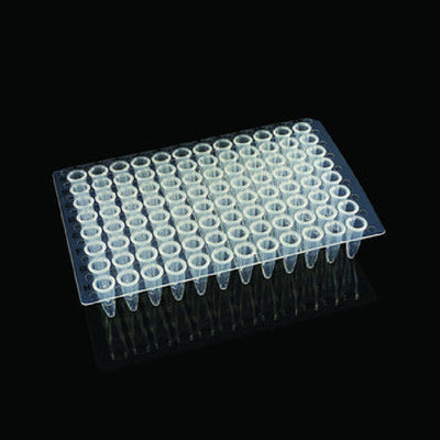 96 Well PCR Plate, Clear, Unskirted