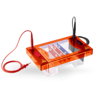 Uni-Mini Duo Horizontal Eletrophoresis System - 7x7cm & 7x10cm  |  UNI-E03113 - Uniscience - Uniscience Corp.